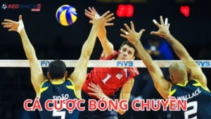 Cá cược bóng chuyền A-Z bí quyết bỏ túi cho người mới