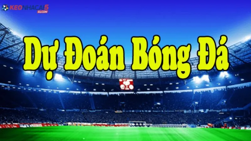 Các nội dung thường có trong mỗi bài dự đoán